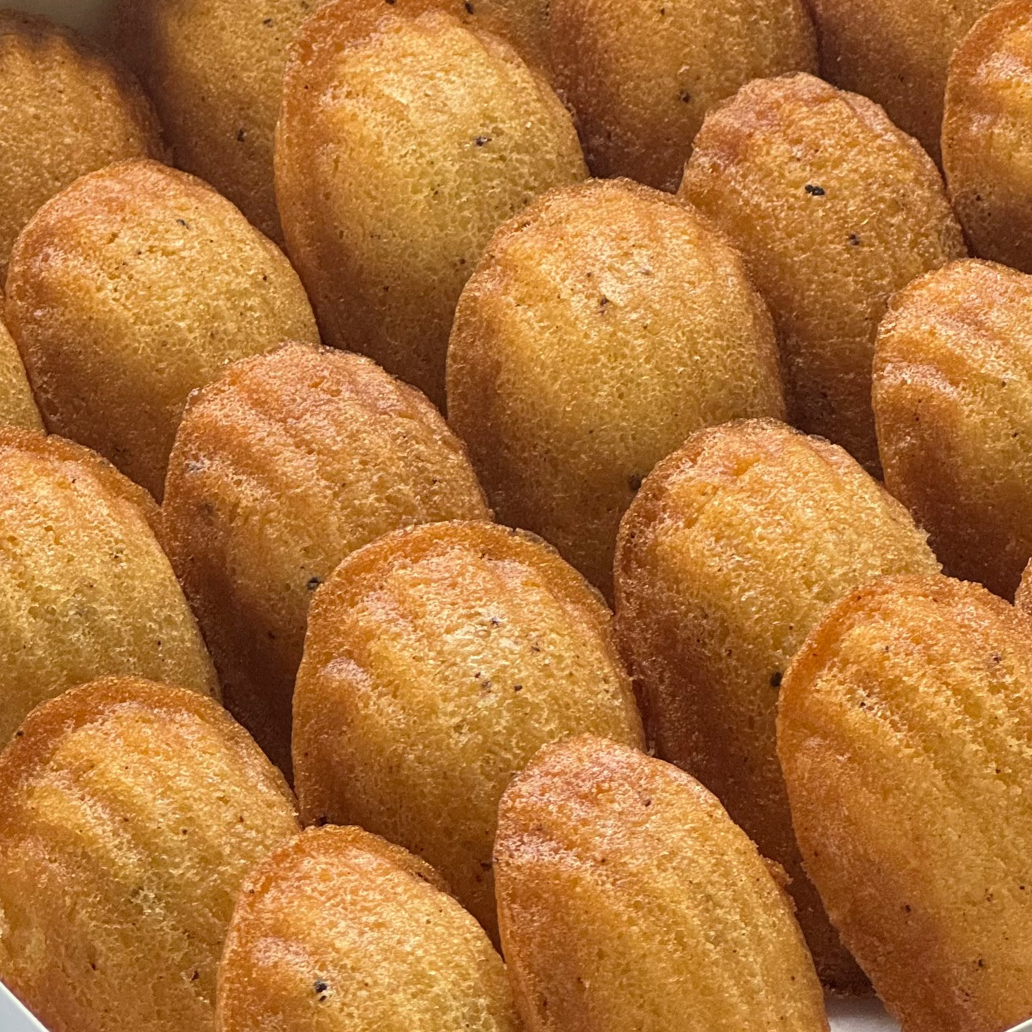 Madeleines